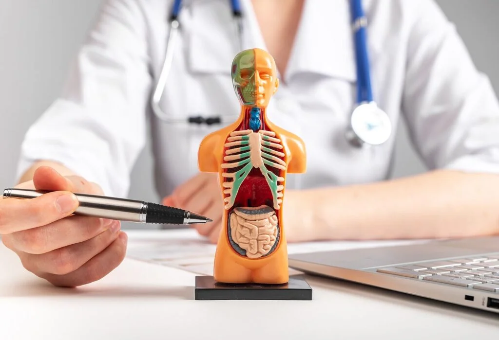 Pulmonology